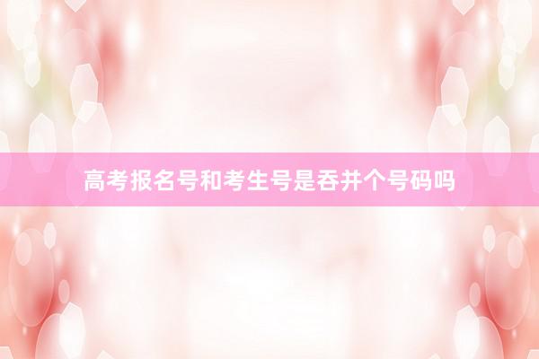 高考报名号和考生号是吞并个号码吗