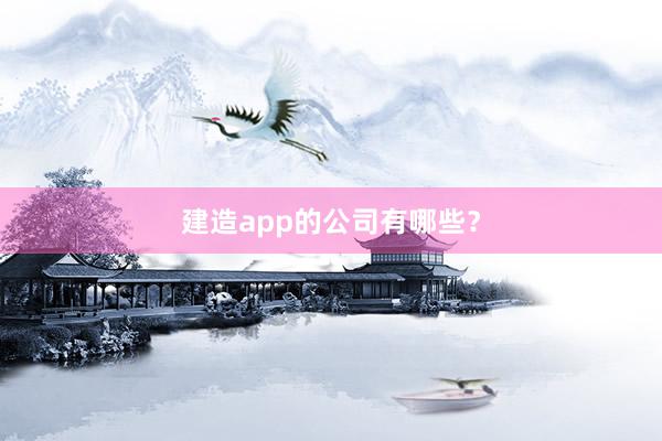 建造app的公司有哪些？