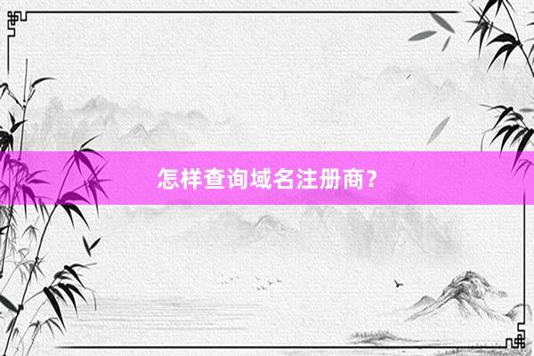 怎样查询域名注册商？