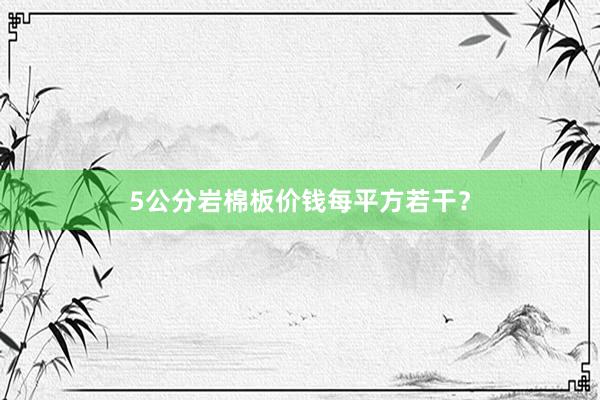 5公分岩棉板价钱每平方若干？