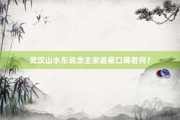 武汉山水东说念主家遮蔽口碑若何？
