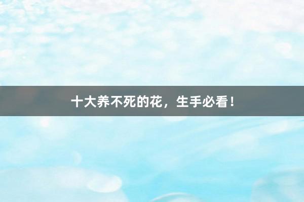 十大养不死的花，生手必看！