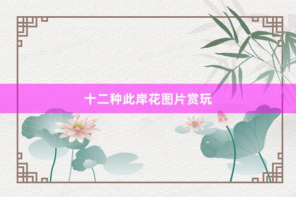 十二种此岸花图片赏玩