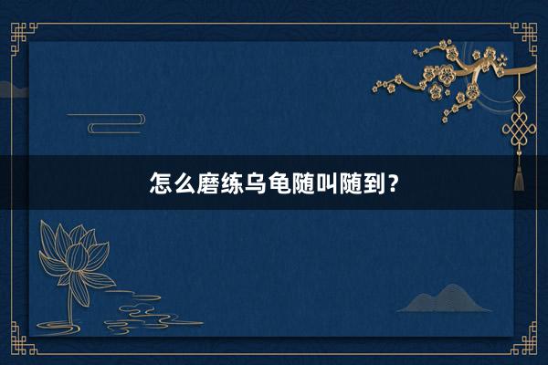 怎么磨练乌龟随叫随到？