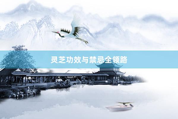 灵芝功效与禁忌全领路